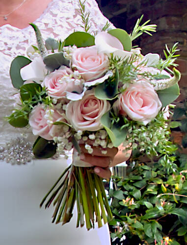 photographer SIGMASD1UK wedding  photo