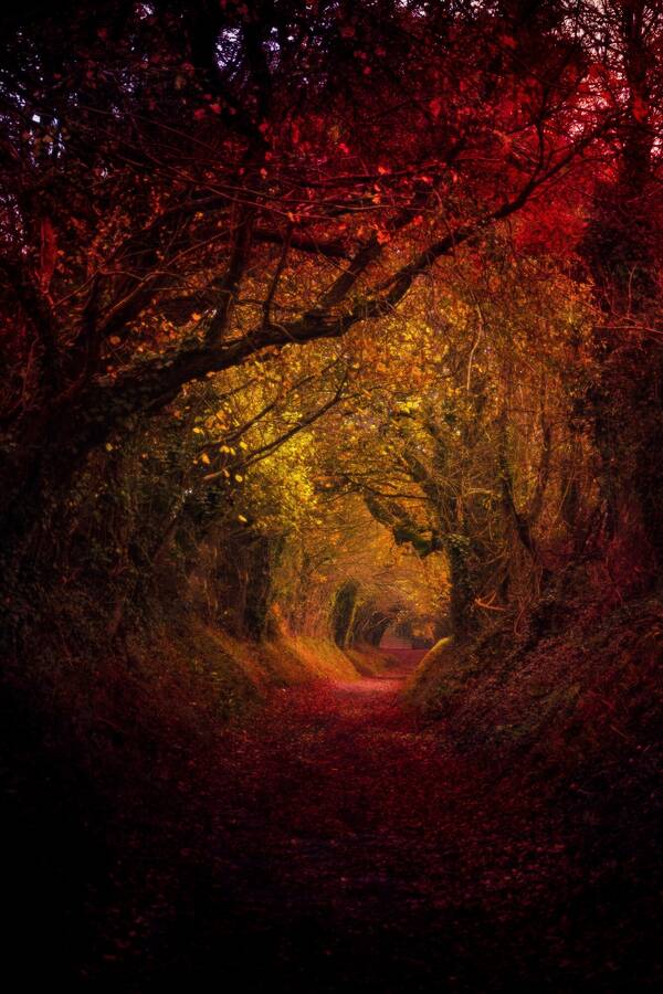 photographer Photographer Gino Cinganelli landscape  photo