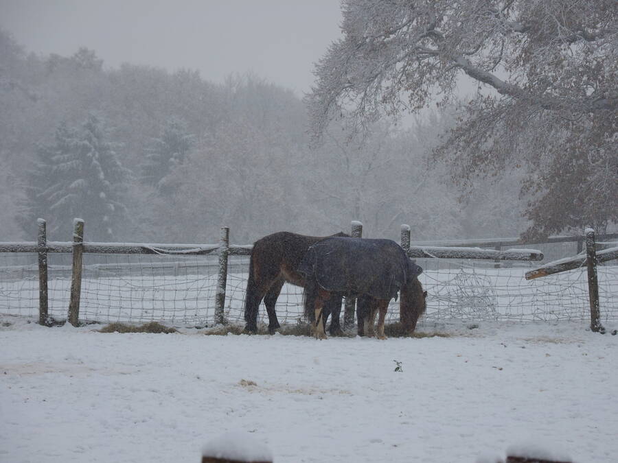 photographer Rosewood  Pix landscape  photo