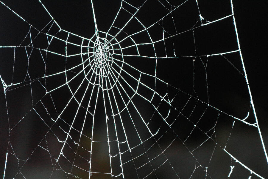 photographer Autofocus night  photo