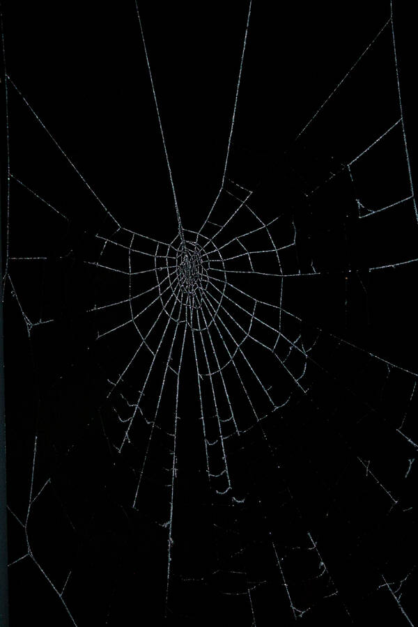 photographer Autofocus night  photo