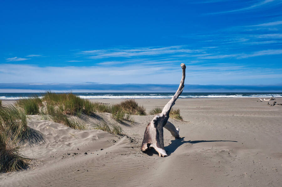 photographer Art of Moment Photography landscape  photo