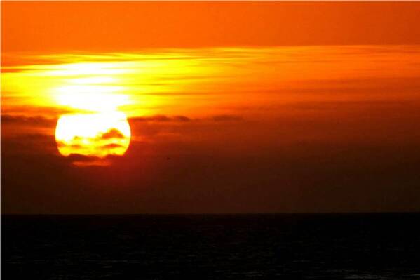 photographer Bitten by the Bug travel  photo