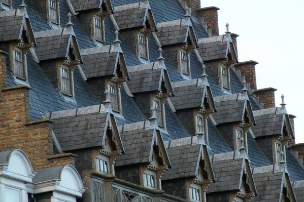 photographer Bitten by the Bug architecture  photo
