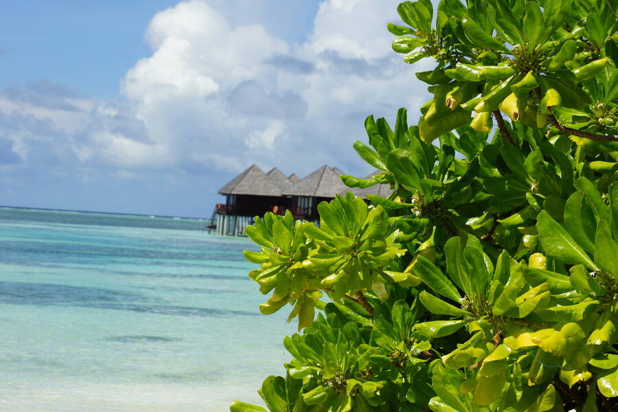 photographer FotoScout24 uncategorized  photo