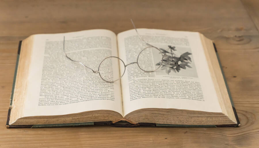 photographer FotoScout24 uncategorized  photo