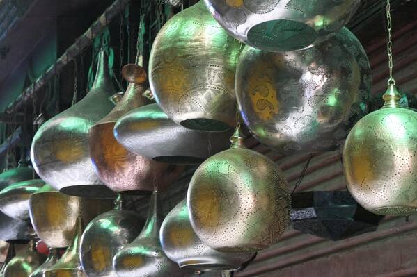 photographer Bitten by the Bug travel  photo