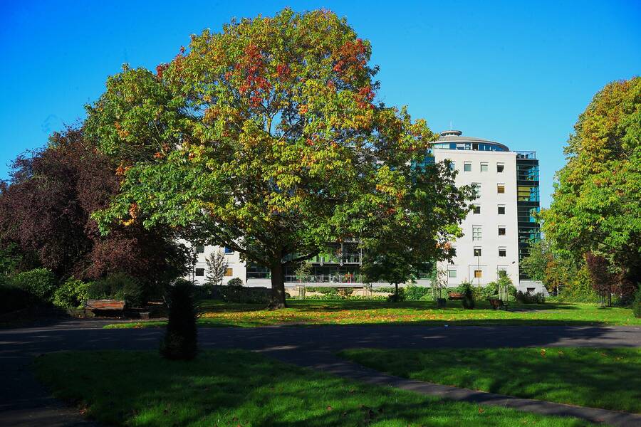 photographer Martin330 landscape  photo