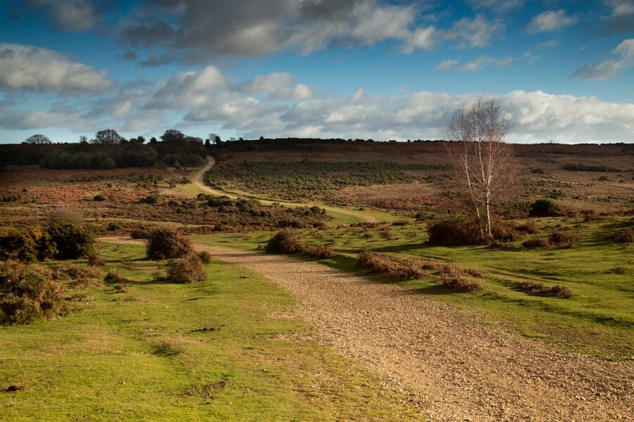 photographer Mark landscape  photo