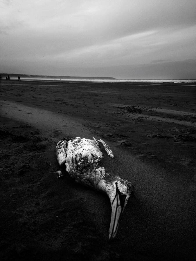 photographer Jez uncategorized  photo