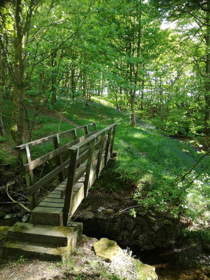 photographer pritch501 landscape  photo