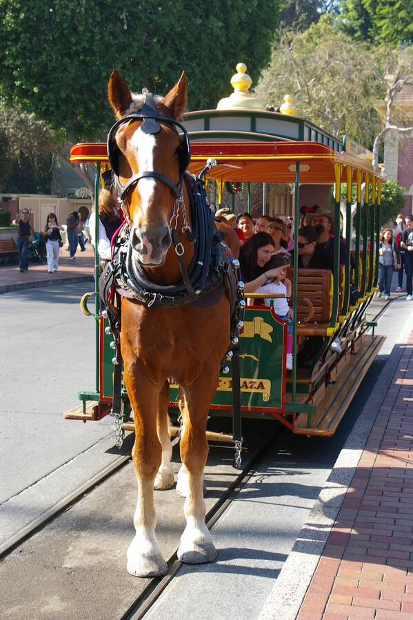 photographer pritch501 travel  photo