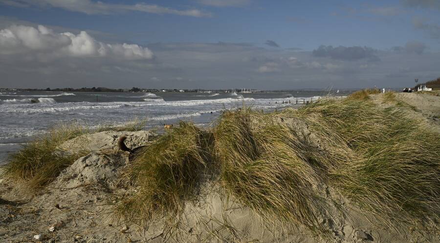 photographer JFC Images uncategorized  photo