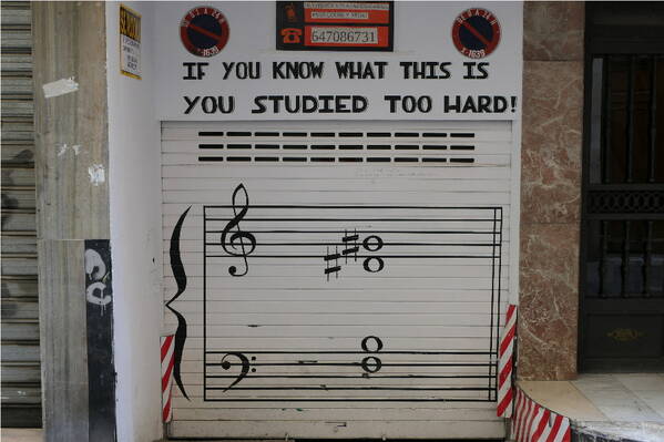 photographer Bitten by the Bug street  photo taken at Valencia, Spain