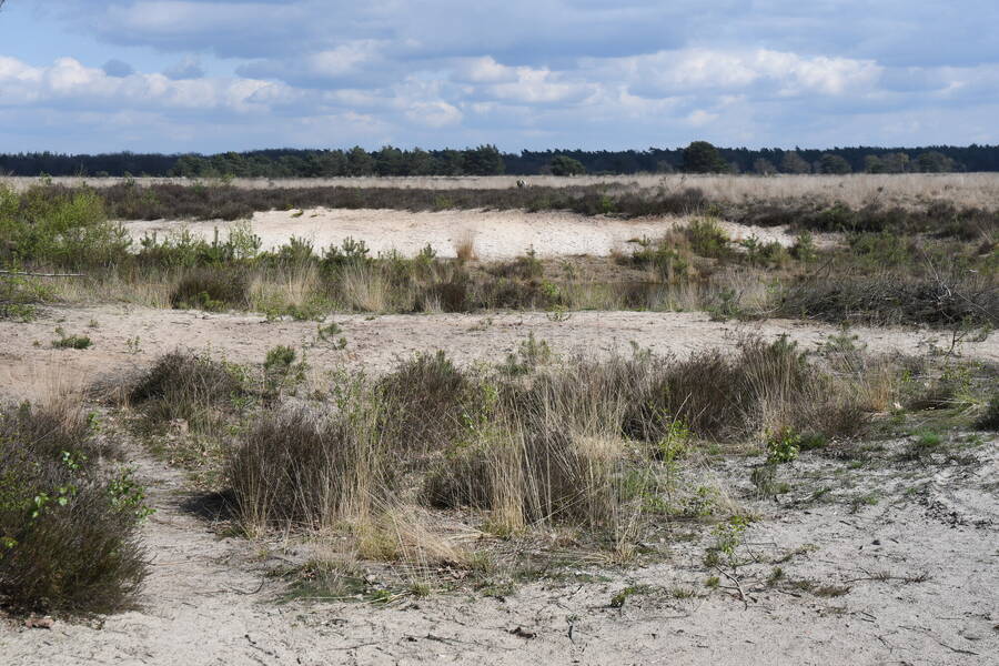 photographer Onstofix uncategorized  photo