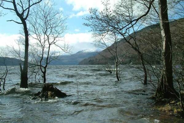photographer Bitten by the Bug landscape  photo