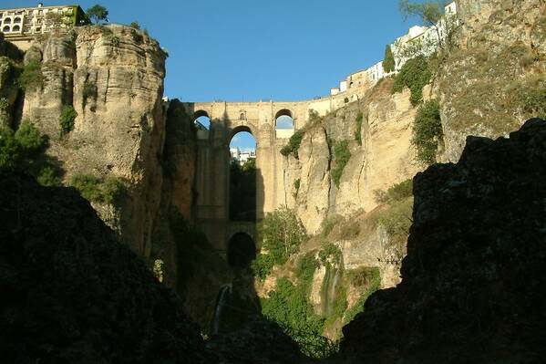photographer Bitten by the Bug travel  photo