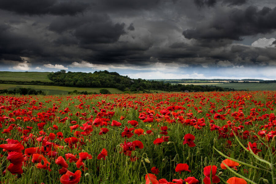 photographer Photographer Gino Cinganelli landscape  photo