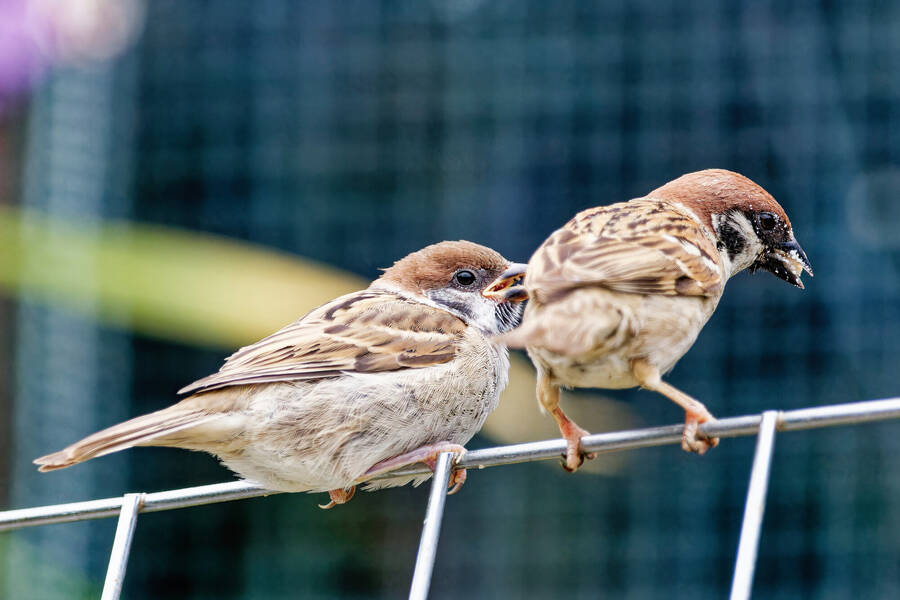 photographer dntphotographs wildlife  photo taken at North Yorkshire