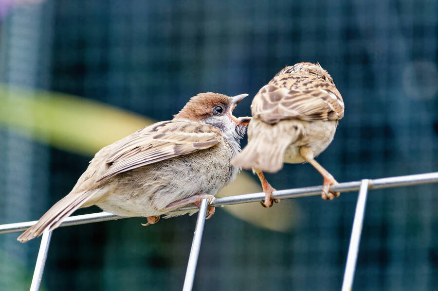 photographer dntphotographs wildlife  photo taken at North Yorkshire