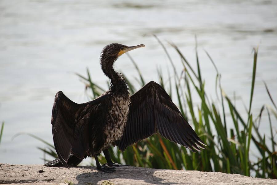 photographer Daniel S uncategorized  photo