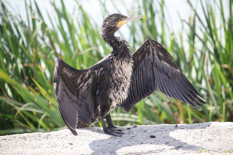 photographer Daniel S uncategorized  photo