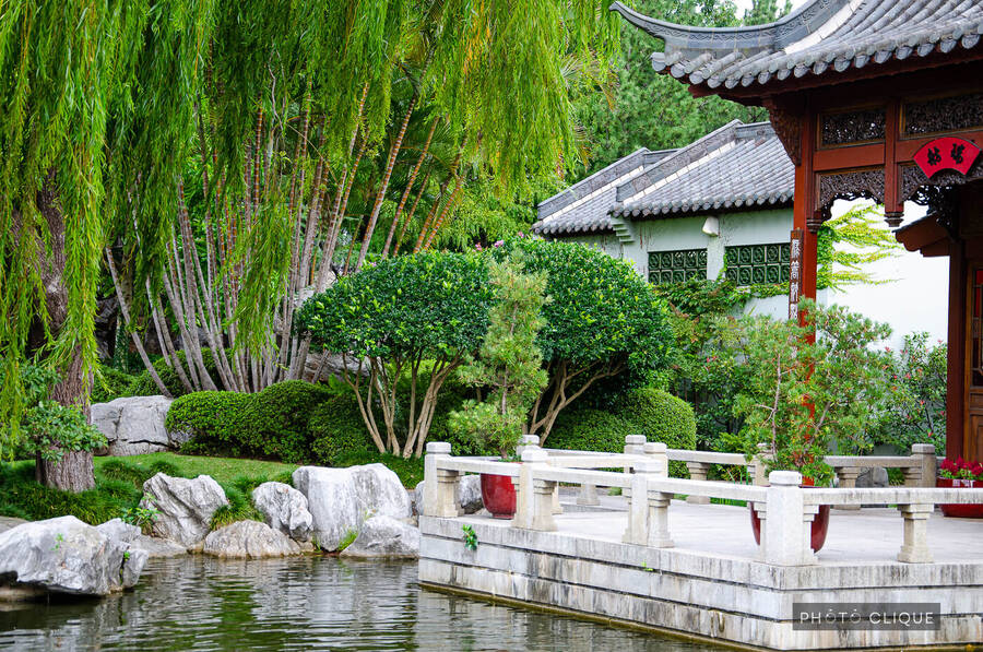 photographer PhotoClique uncategorized  photo