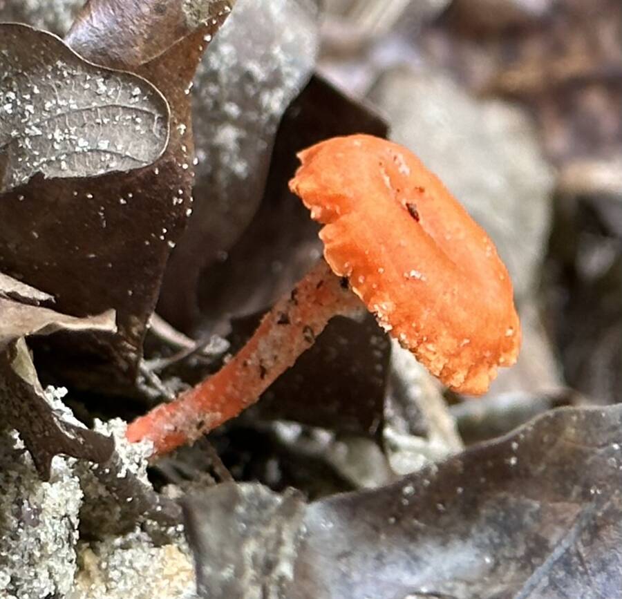 photographer Soovain uncategorized  photo