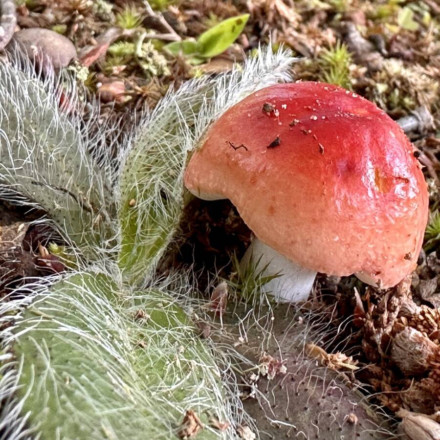 photographer Soovain uncategorized  photo