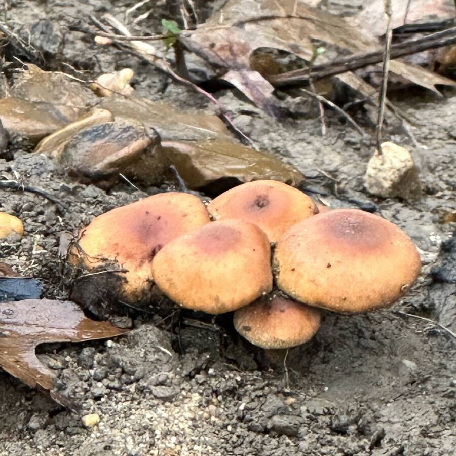 photographer Soovain uncategorized  photo