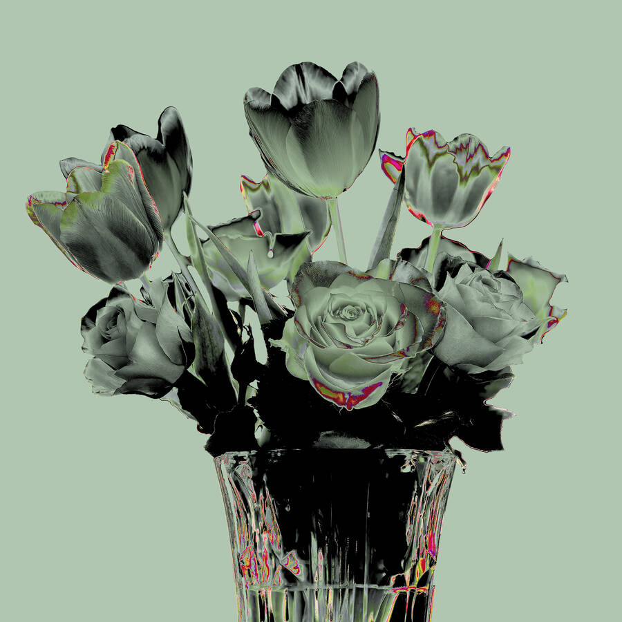 photographer derekderekseawardcom still life  photo