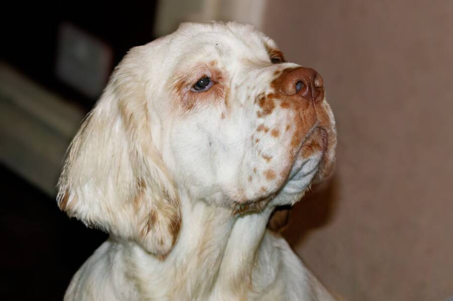 photographer dntphotographs portraiture  photo