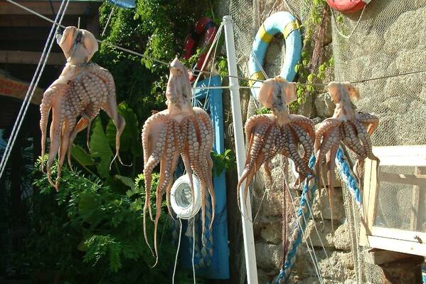 photographer Bitten by the Bug travel  photo