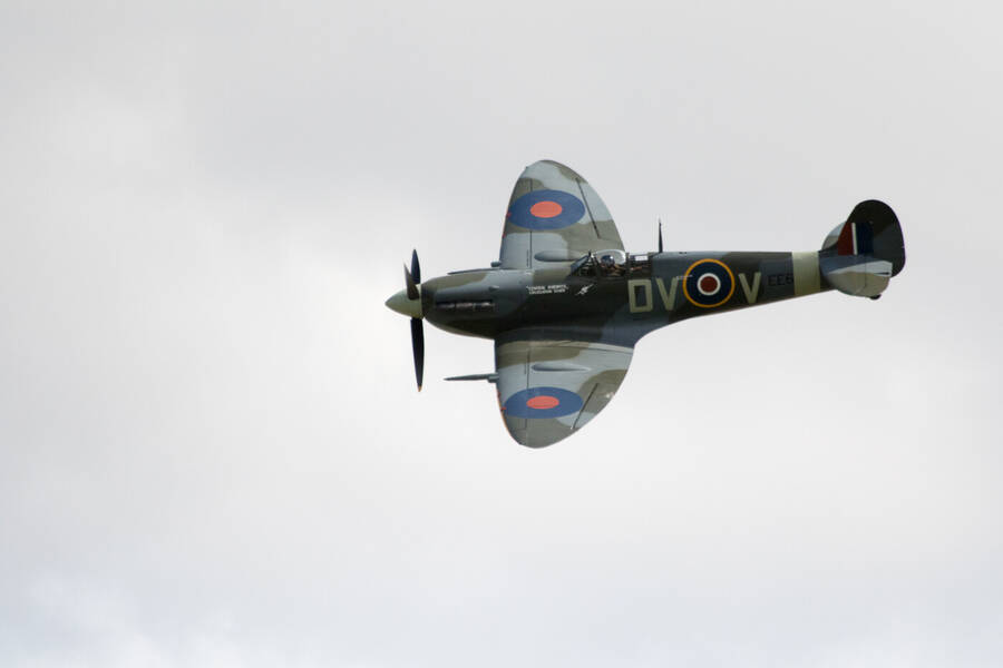 photographer Canon Ball uncategorized  photo