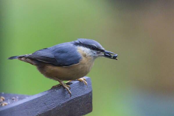 photographer The Opportunist uncategorized modelling photo