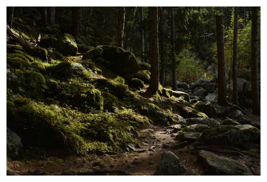 photographer EV uncategorized  photo