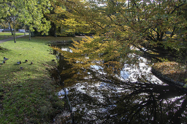 photographer Herophoto uncategorized  photo