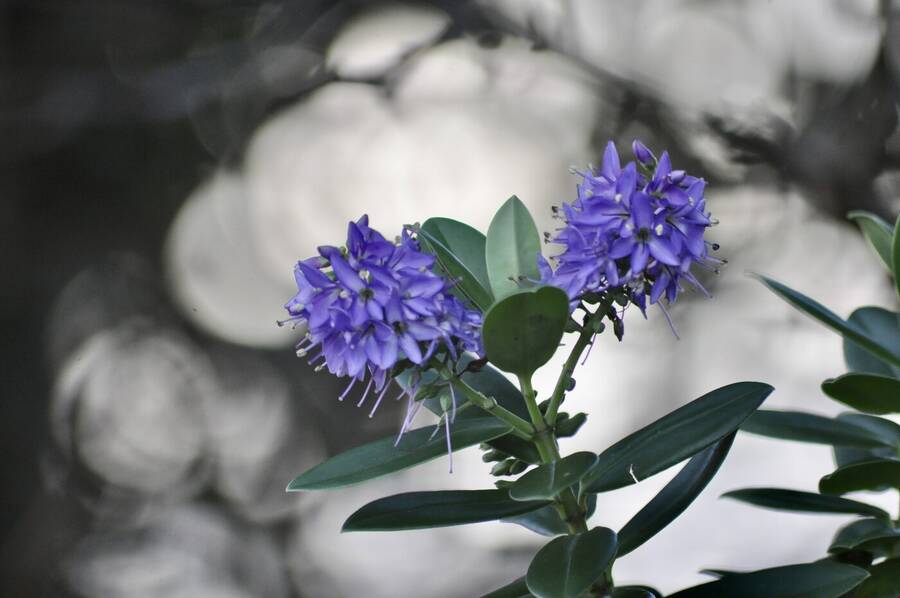 photographer Abstract Photo abstract  photo