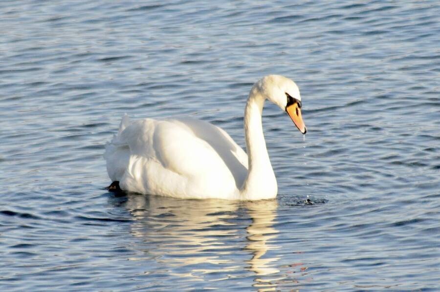 photographer Abstract Photo uncategorized  photo