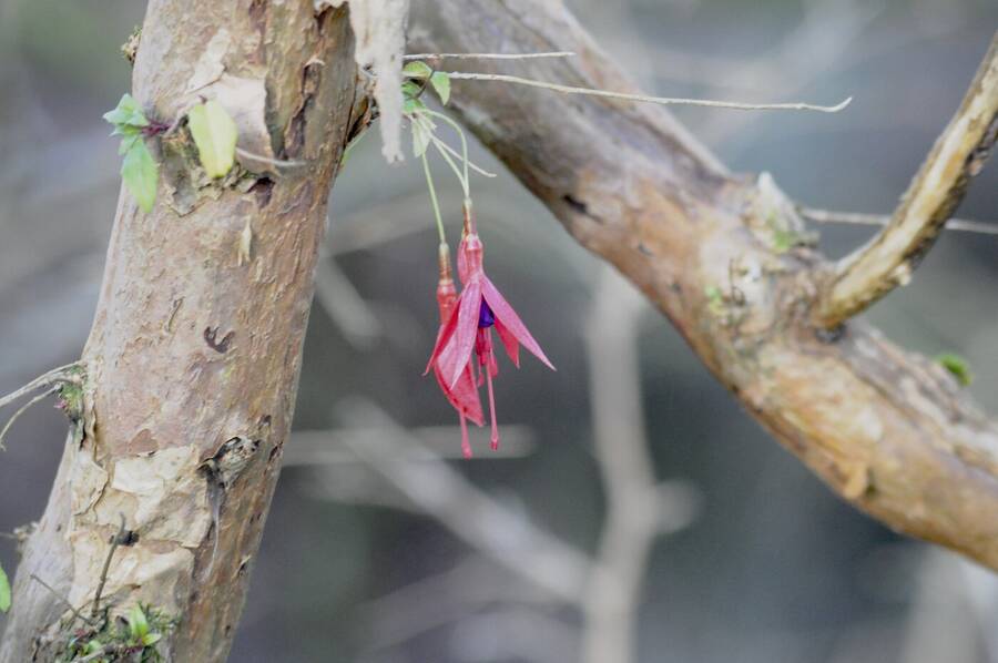 photographer Abstract Photo macro  photo