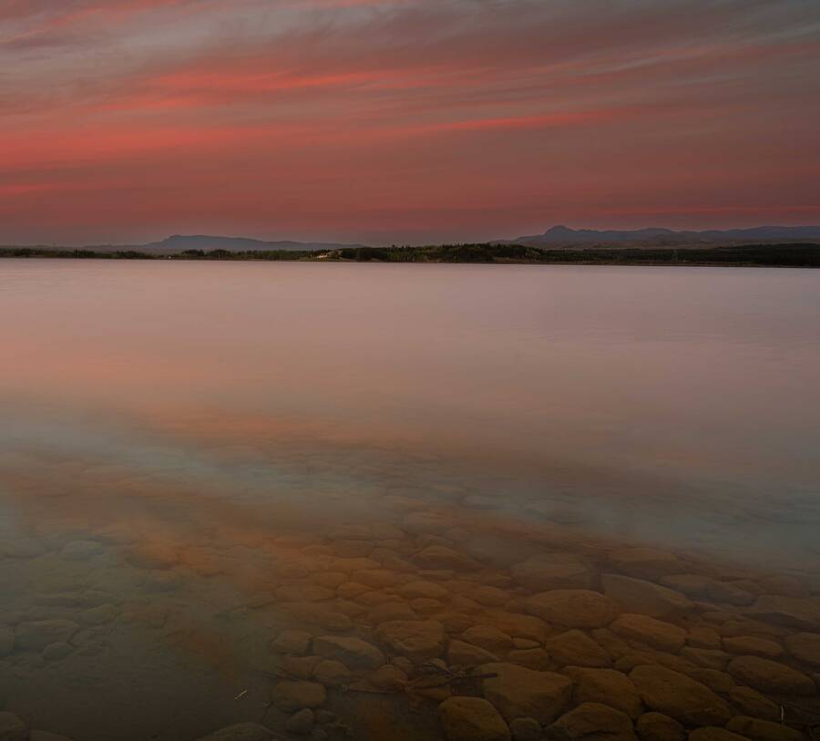 photographer samster uncategorized  photo