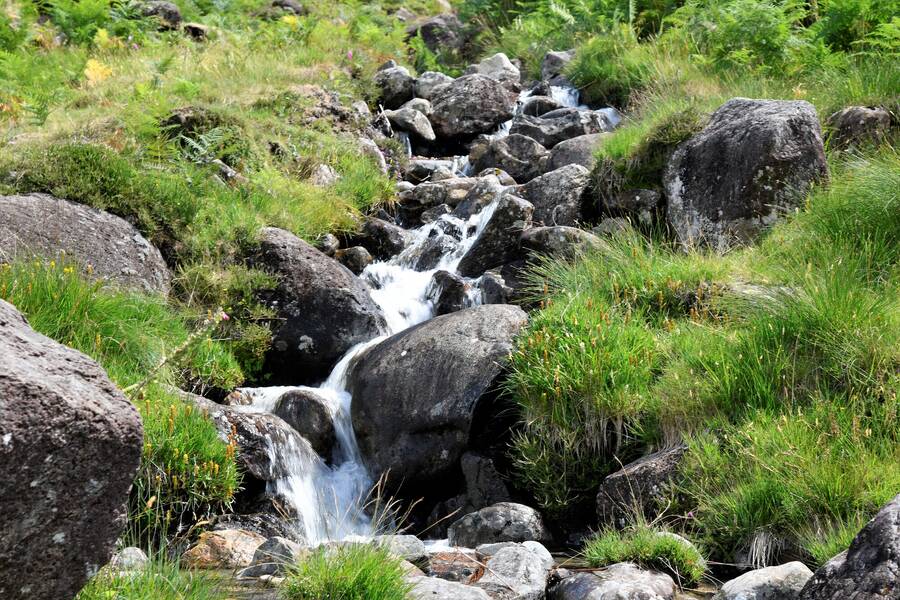 photographer JFC Images uncategorized  photo