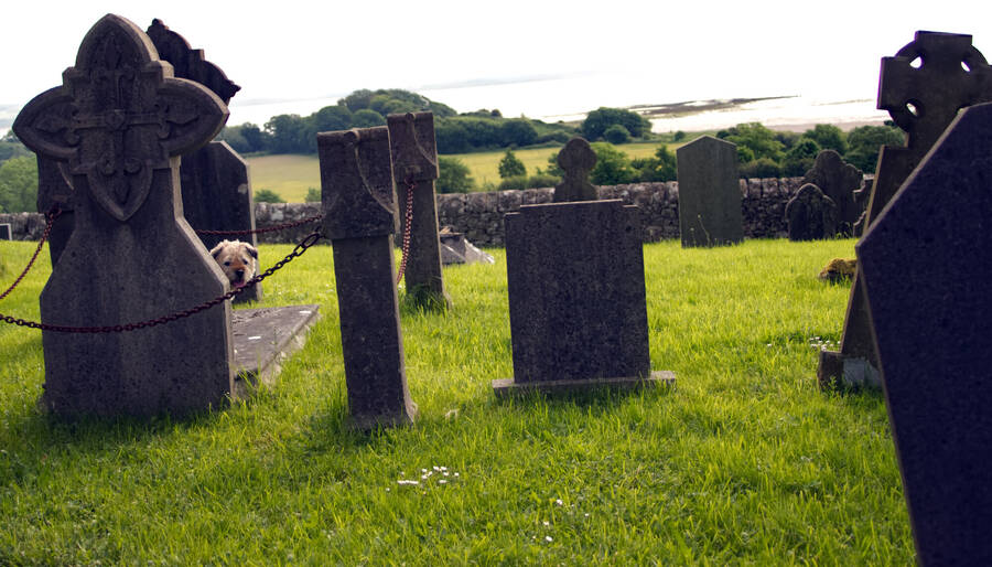 photographer Stav travel  photo