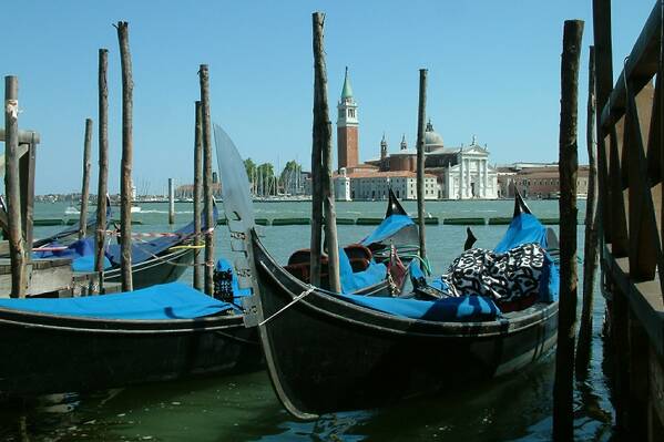 photographer Bitten by the Bug travel  photo