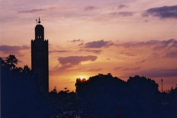 photographer Bitten by the Bug travel  photo