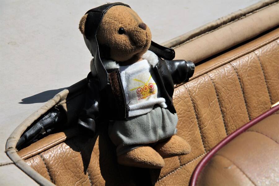 photographer Vertor transport  photo