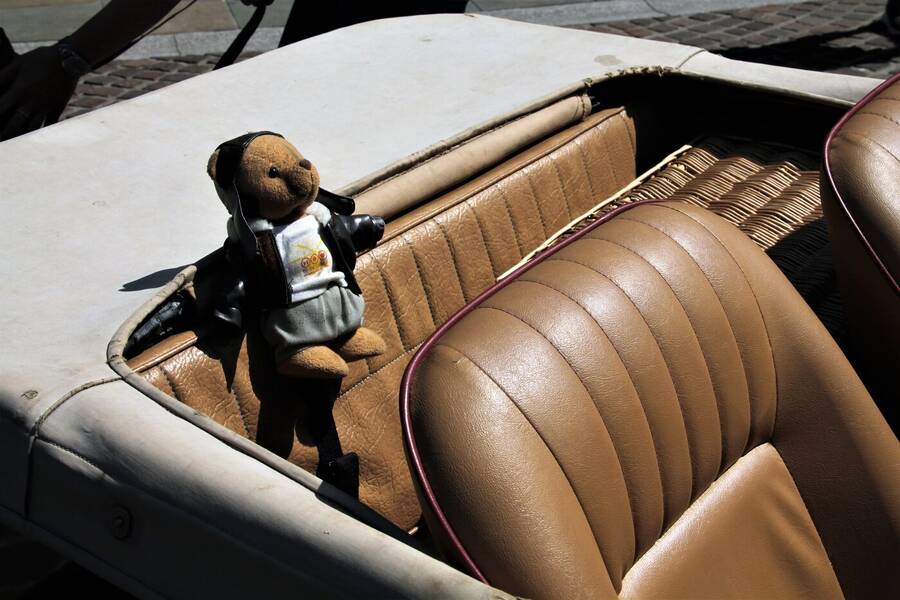 photographer Vertor transport  photo