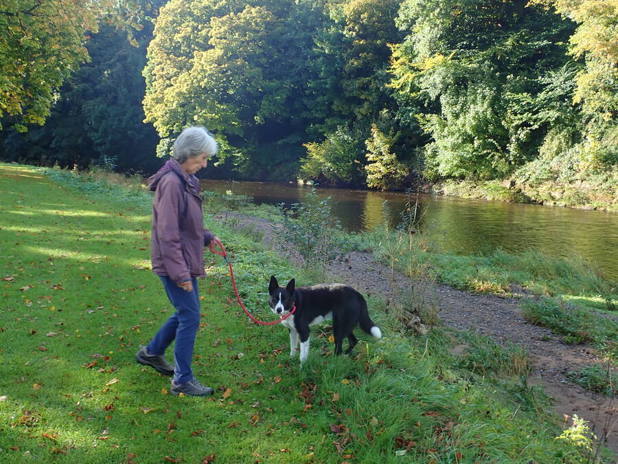 photographer Rosewood  Pix landscape  photo