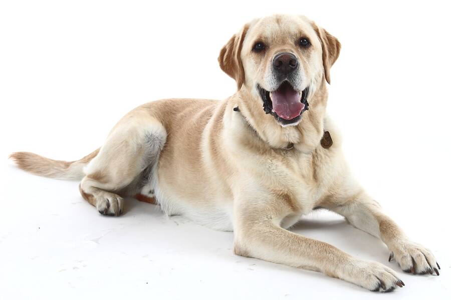 photographer StephenEssexPhotographer photojournalism  photo