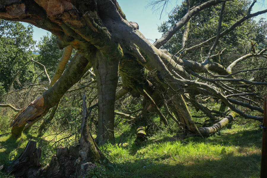 photographer Autofocus landscape  photo